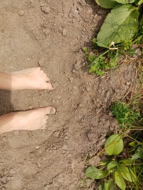 Barfuß auf einem sandigen Boden mit grünem Pflanzenbewuchs um die Füße.