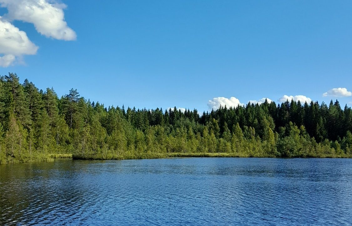 See und im Hintergrund Wald, blauer Himmel und ein paar weiße Wolken