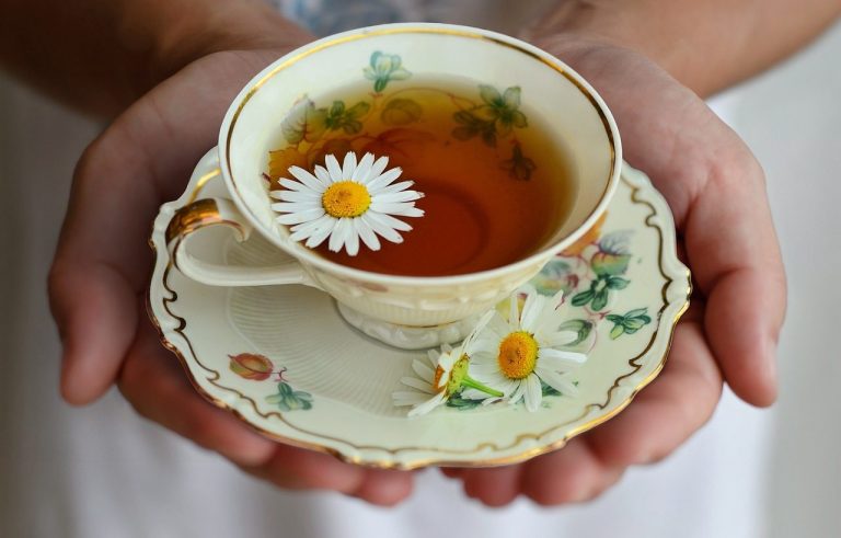 Eine Tasse Tee mit einem Gänseblümchen, in beiden Händen gehalten von einer Frau, auf einer dekorativen Untertasse.