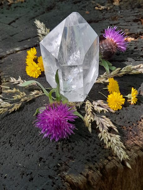 Klarer Kristall umgeben von bunten Blumen auf einem Baumstamm.